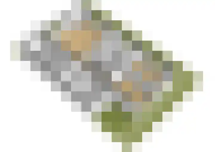 Abelendreef 5 Vlaardingen thumbnail 46