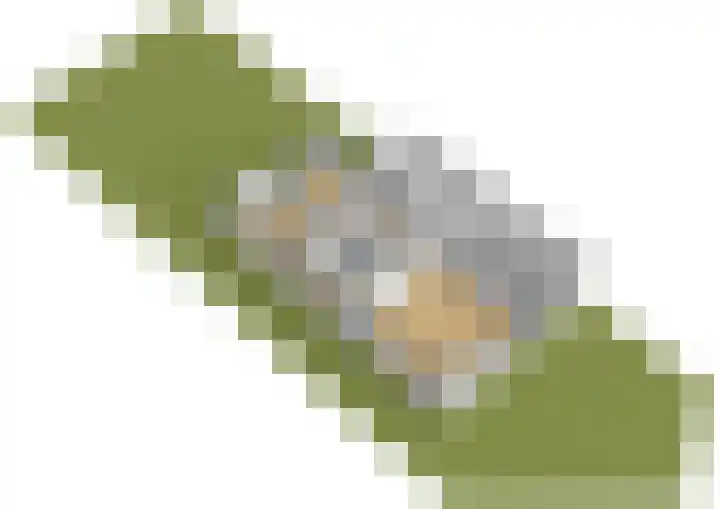 Abelendreef 5 Vlaardingen thumbnail 48