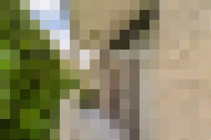 Abelendreef 5 Vlaardingen thumbnail 6