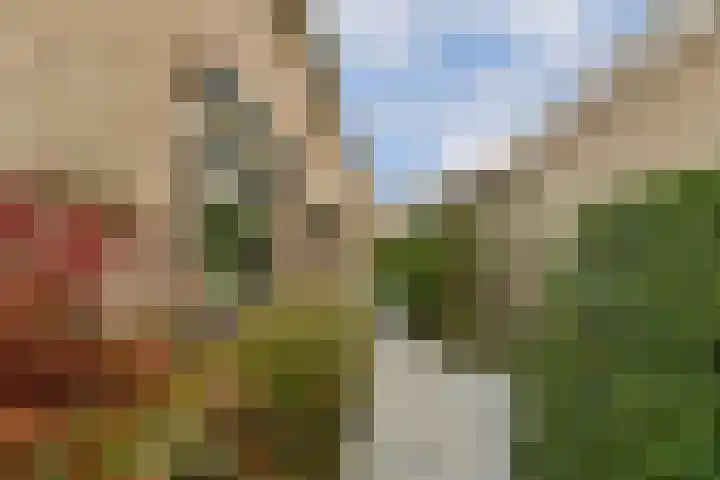 Abelendreef 5 Vlaardingen thumbnail 7