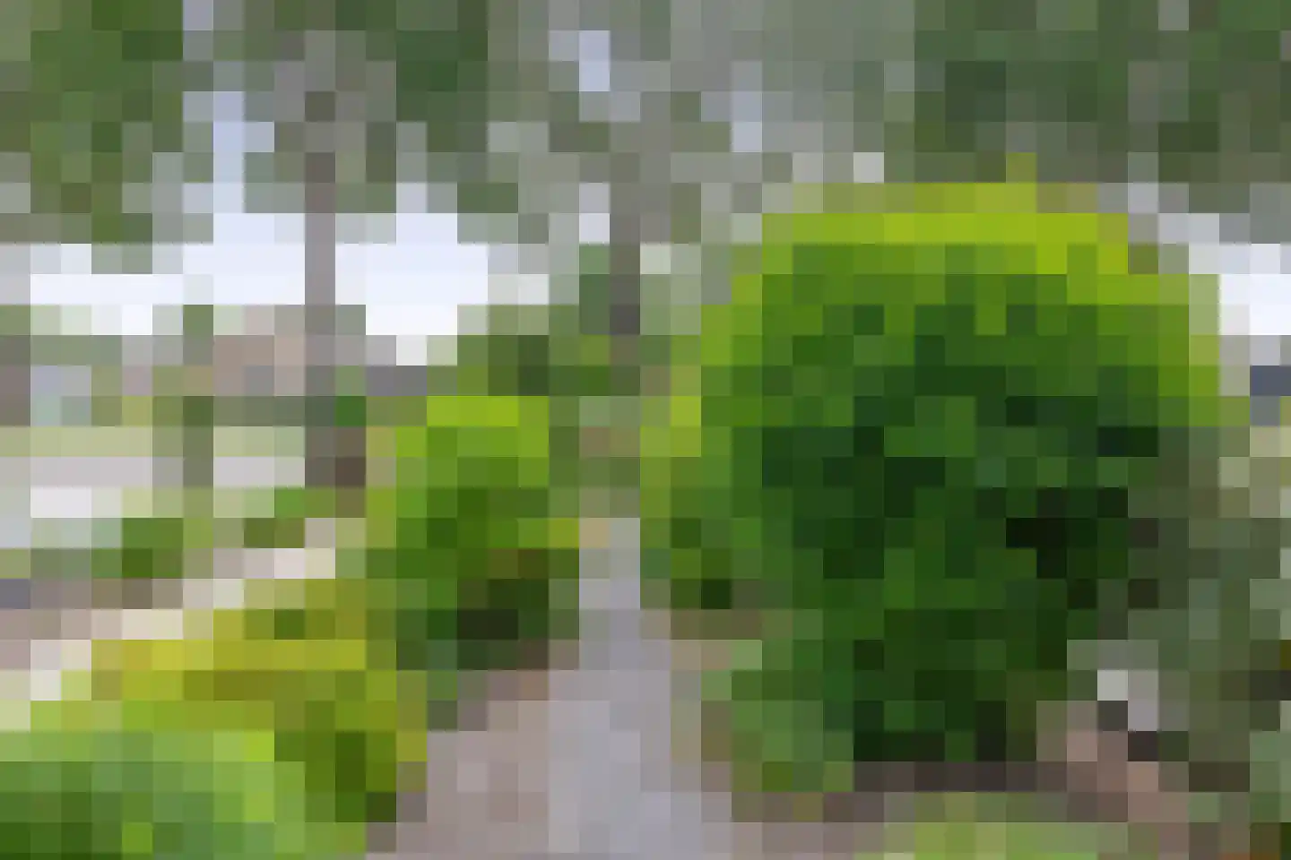 Abelenhage 22 Stadskanaal thumbnail 12