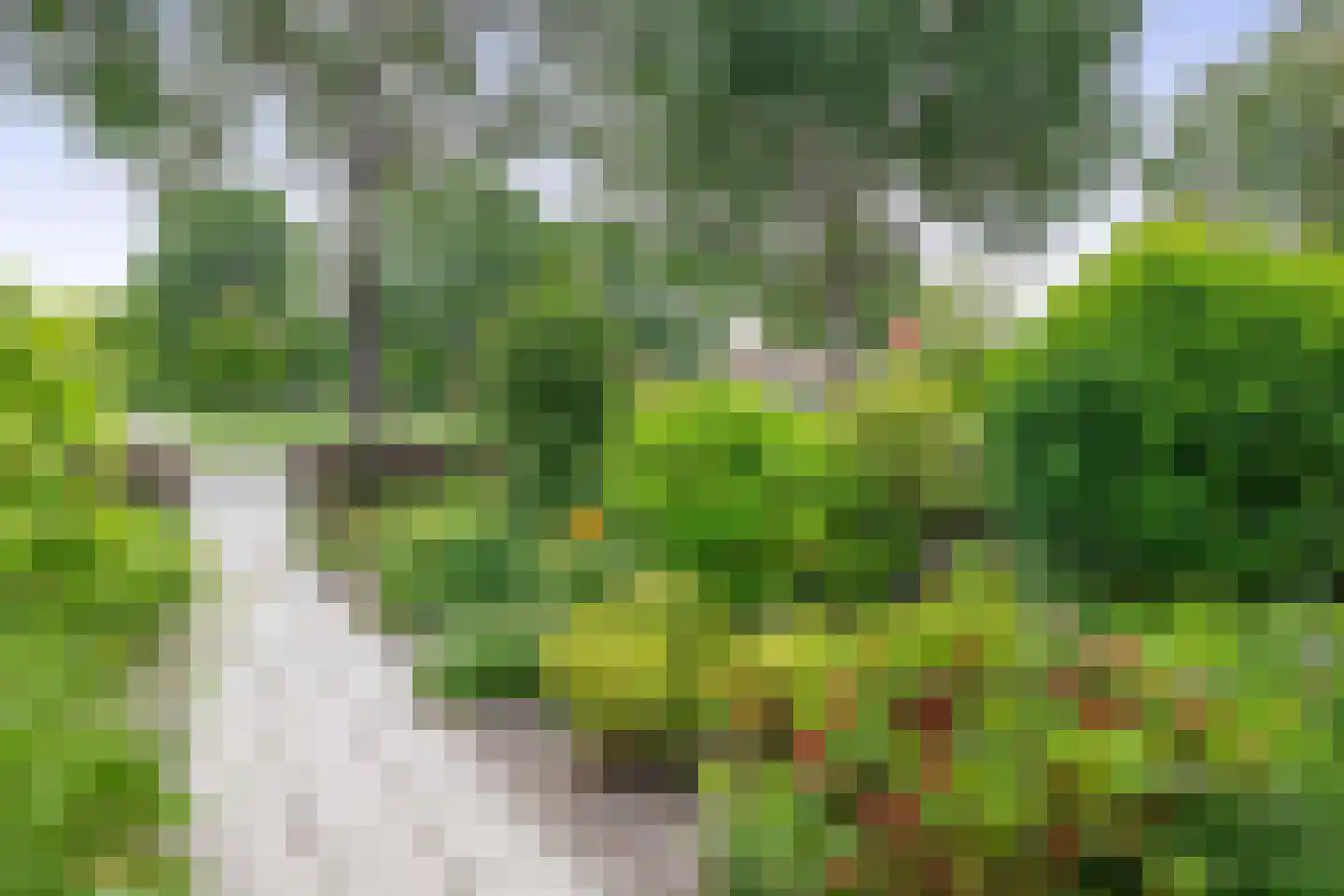 Abelenhage 22 Stadskanaal thumbnail 13