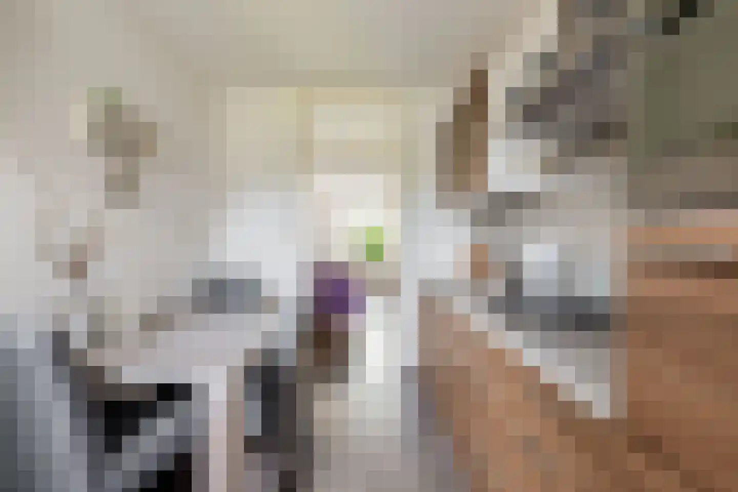 Abelenhage 22 Stadskanaal thumbnail 22