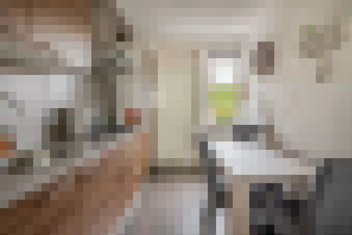 Abelenhage 22 Stadskanaal thumbnail 23