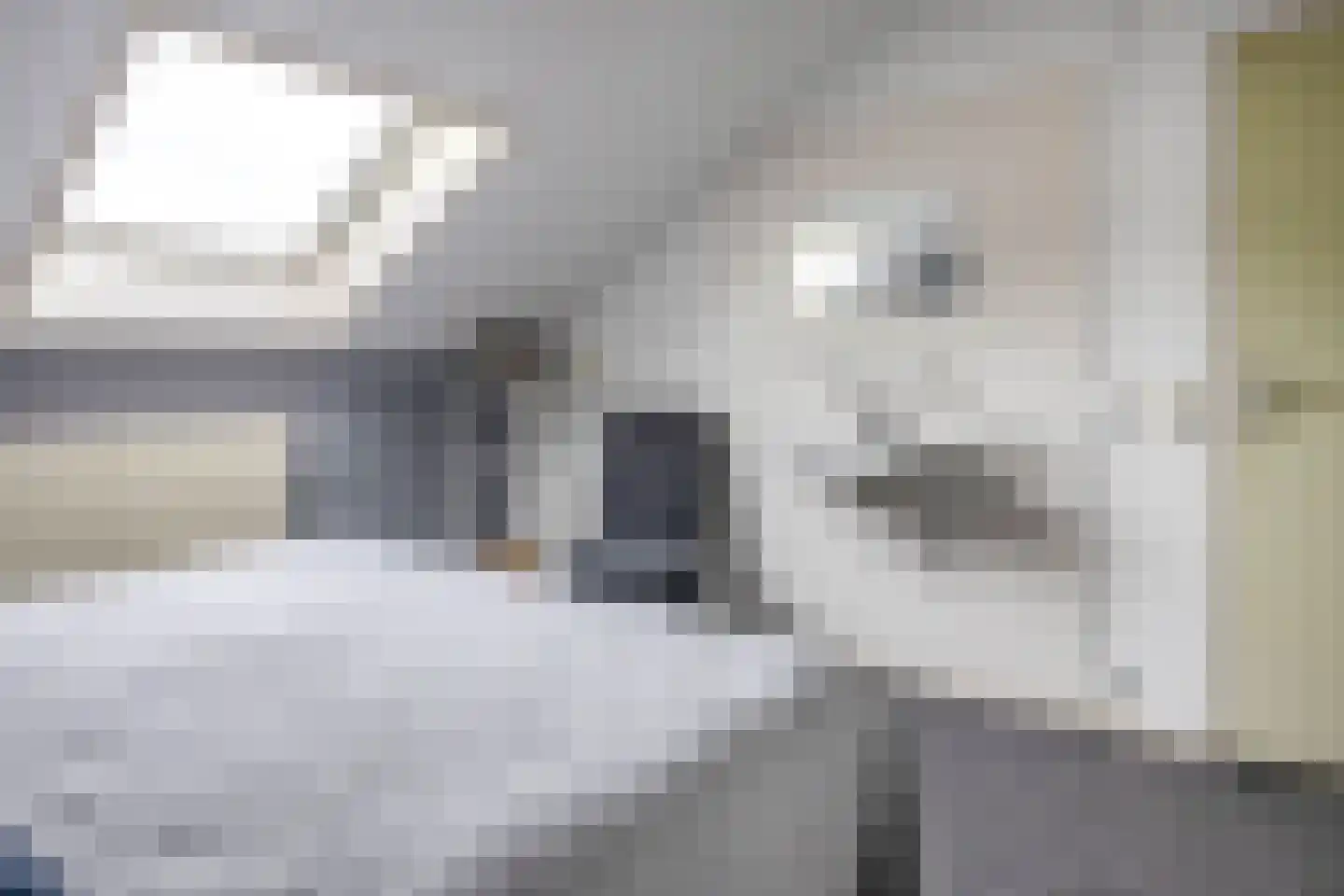 Abelenhage 22 Stadskanaal thumbnail 33