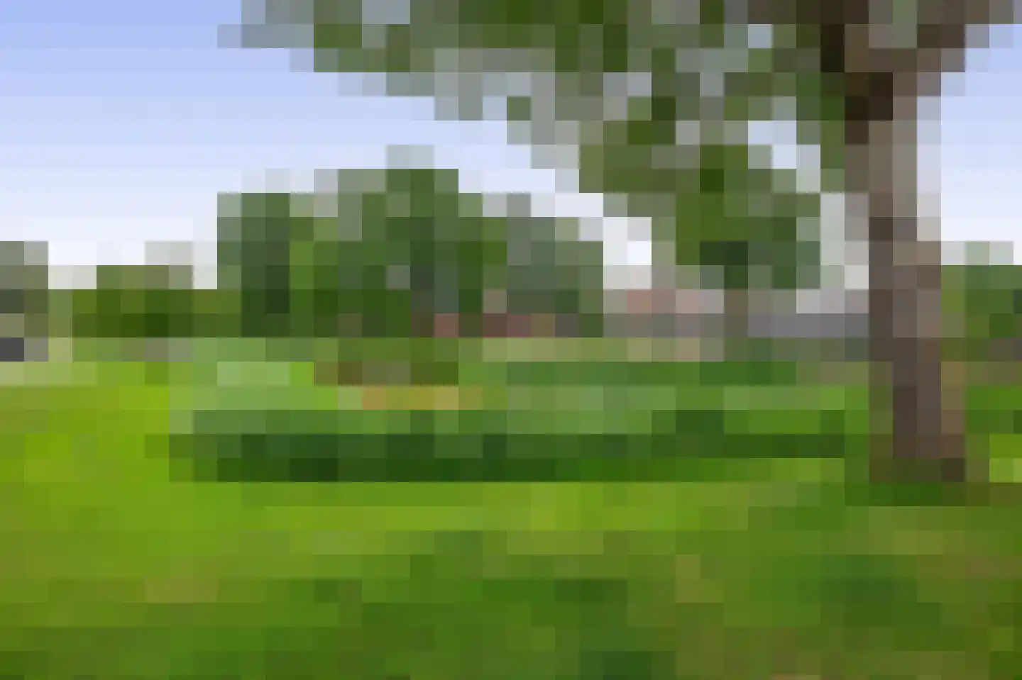 Abelenhage 22 Stadskanaal thumbnail 42