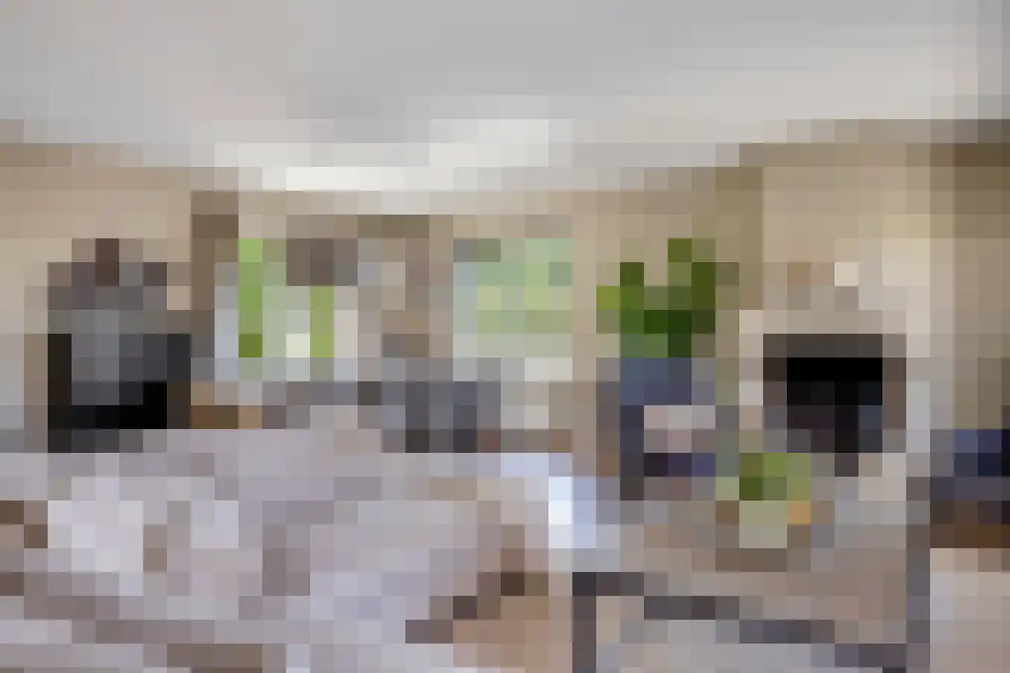 Abelenlaan 1 Oostvoorne thumbnail 12