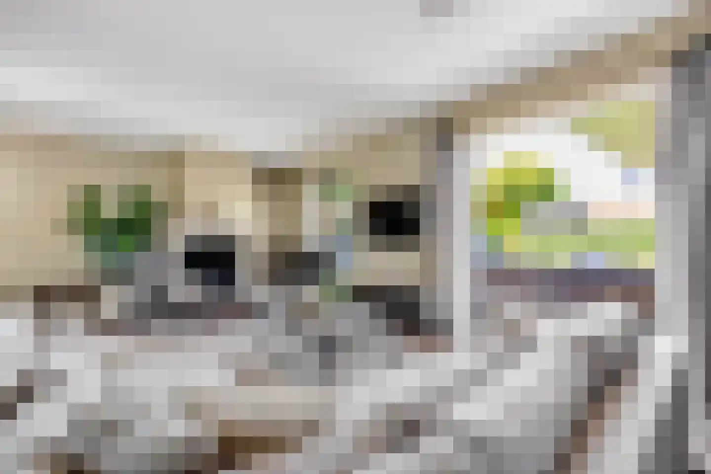 Abelenlaan 1 Oostvoorne thumbnail 13