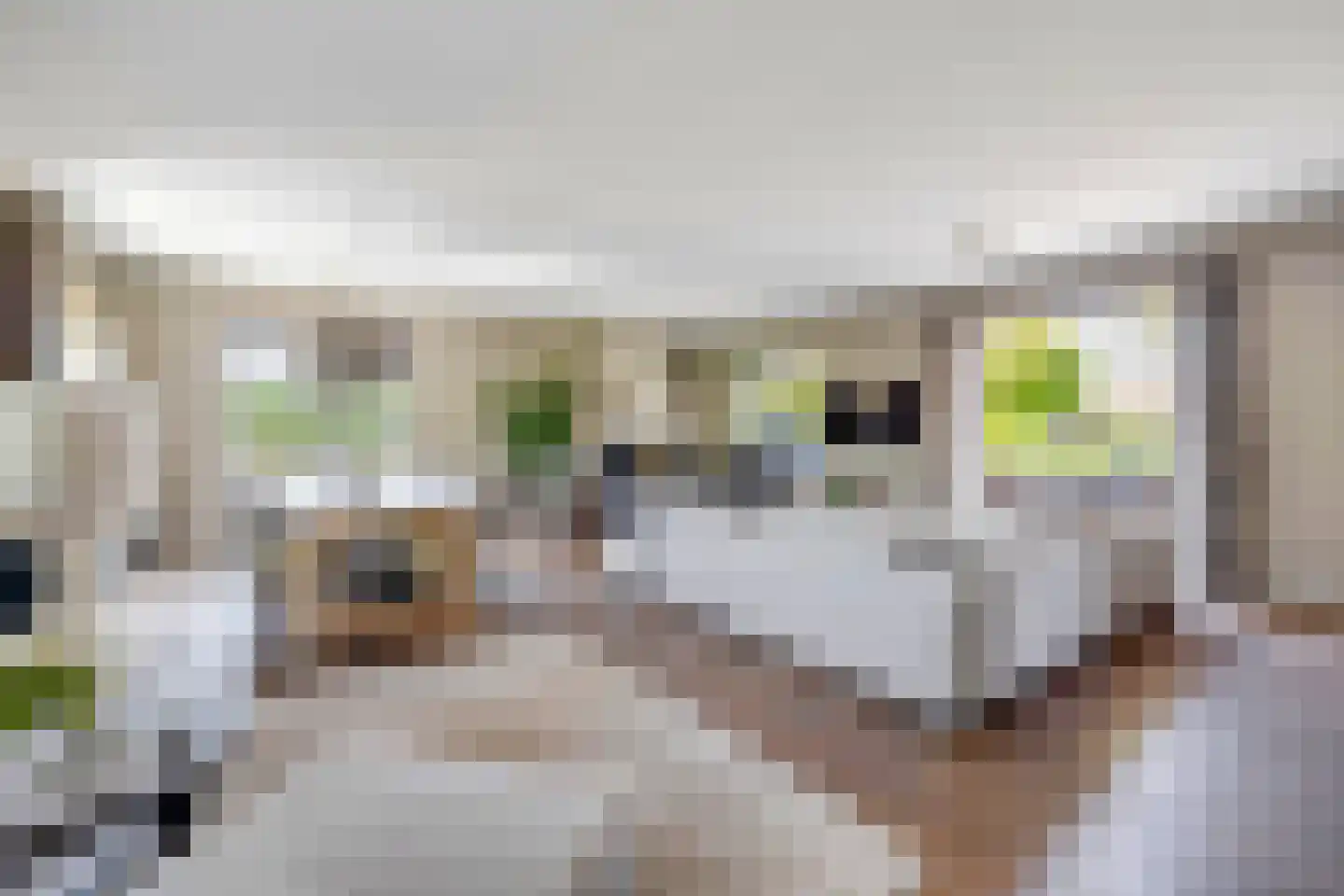 Abelenlaan 1 Oostvoorne thumbnail 14