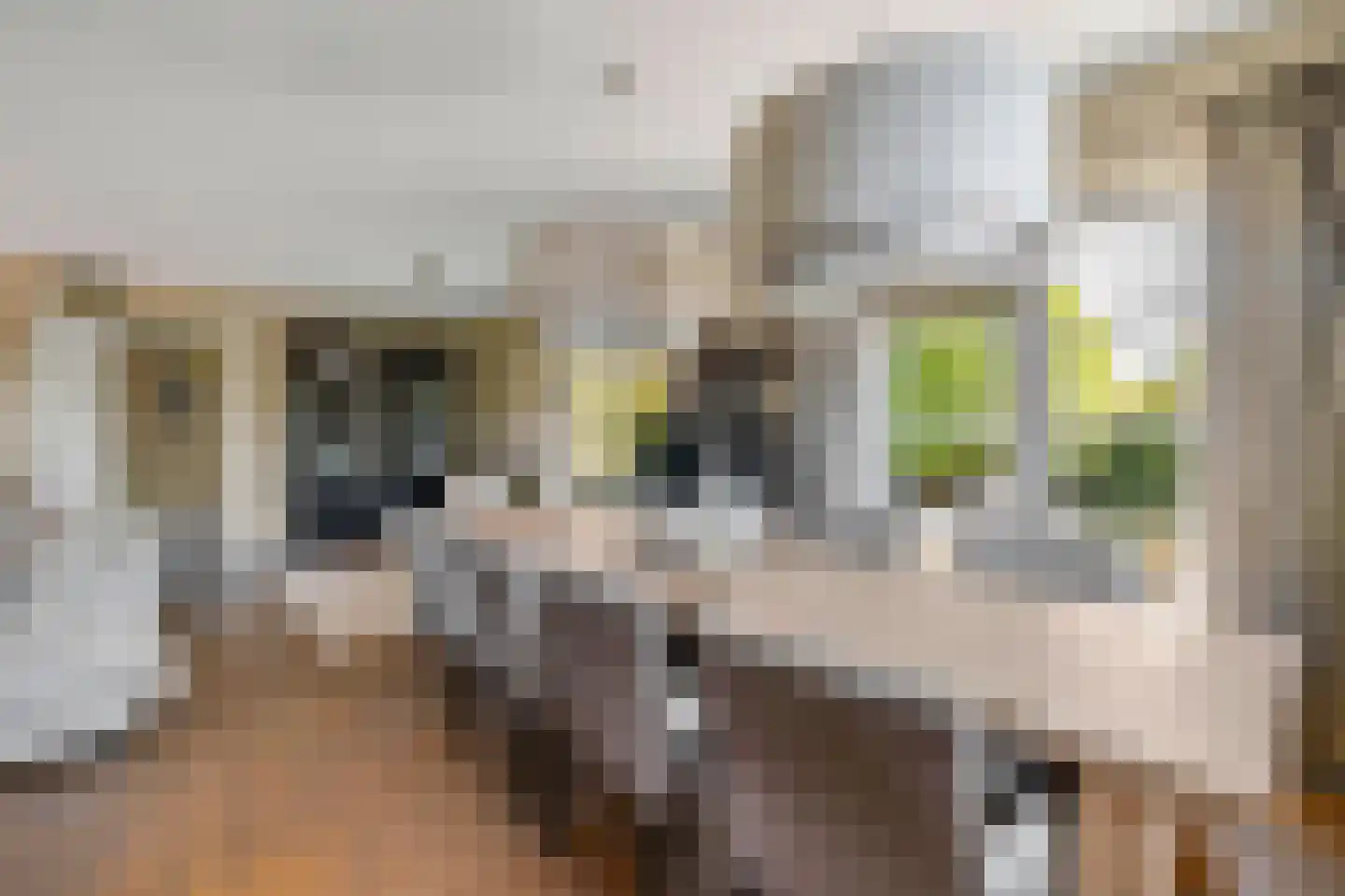 Abelenlaan 1 Oostvoorne thumbnail 15
