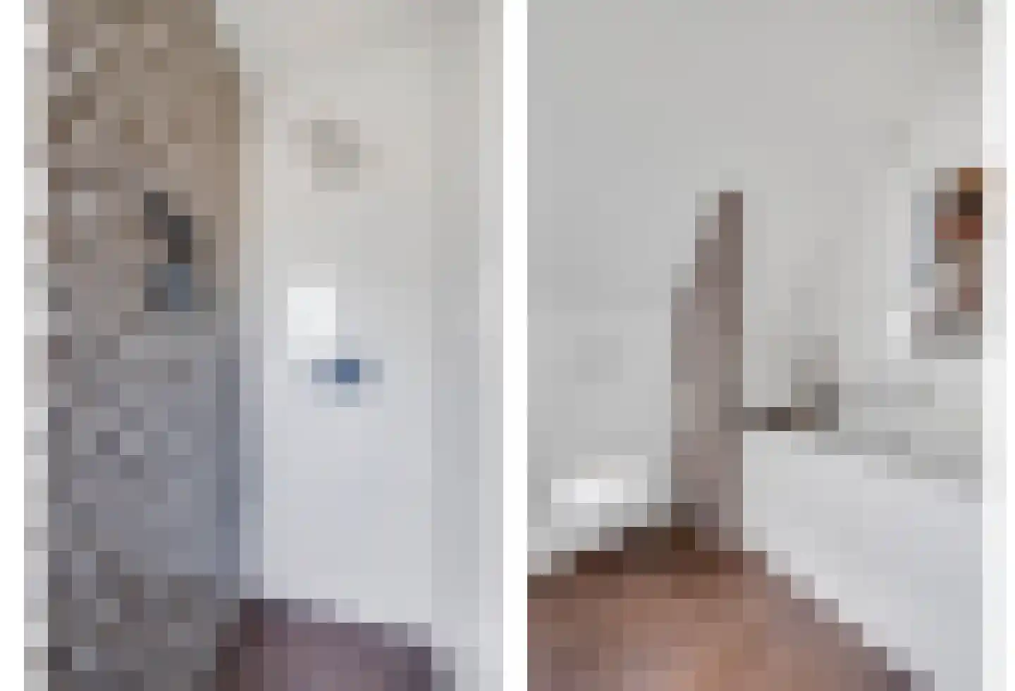 Abelenlaan 1 Oostvoorne thumbnail 29