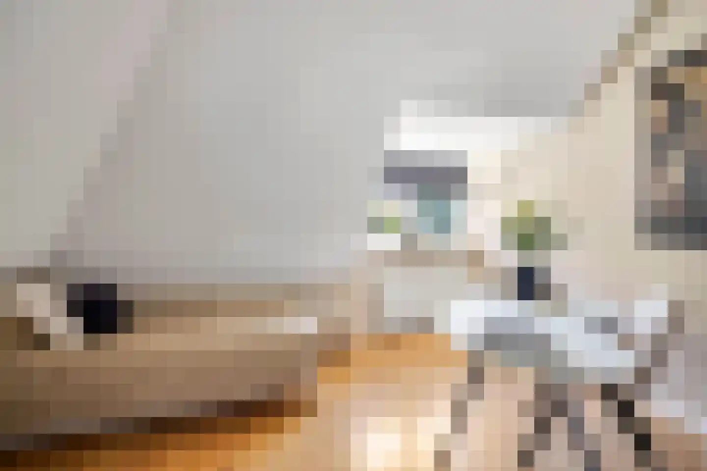 Abelenlaan 1 Oostvoorne thumbnail 31