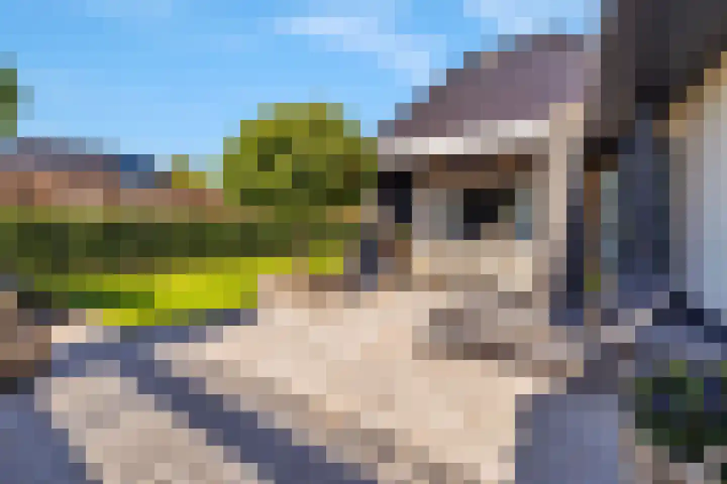Abelenlaan 1 Oostvoorne thumbnail 35