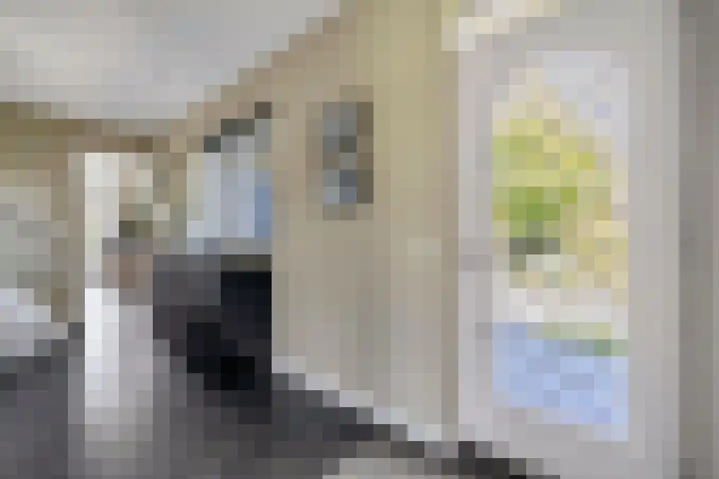 Abelenlaan 1 Oostvoorne thumbnail 8