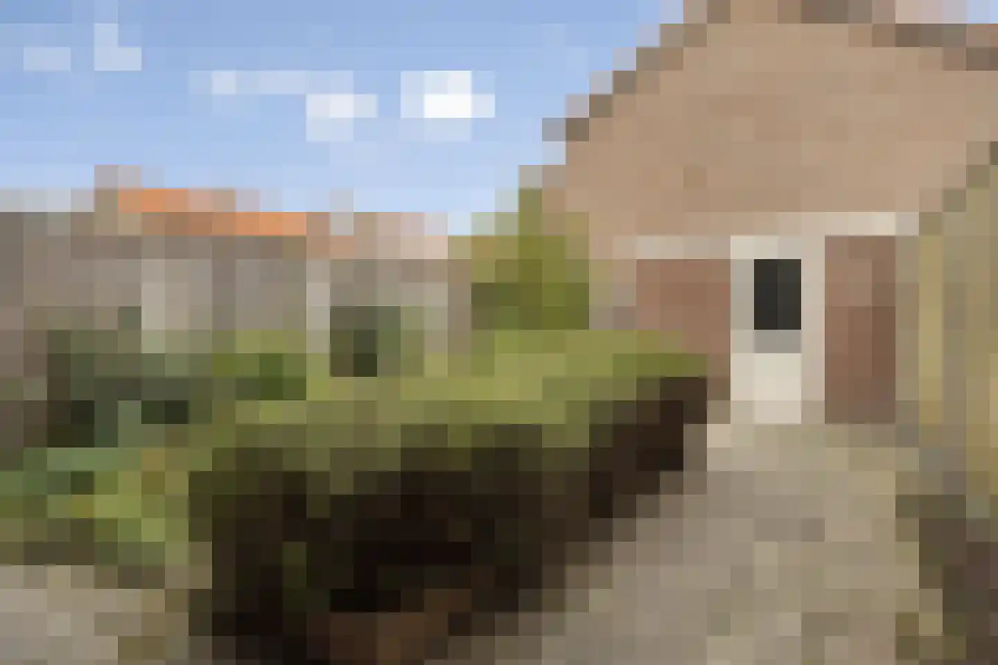 Abelenlaan 147 Rozenburg thumbnail 23