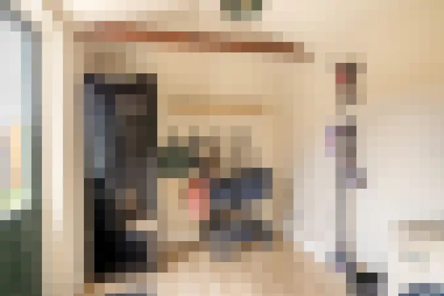 Abelenlaan 19 Emmeloord thumbnail 16