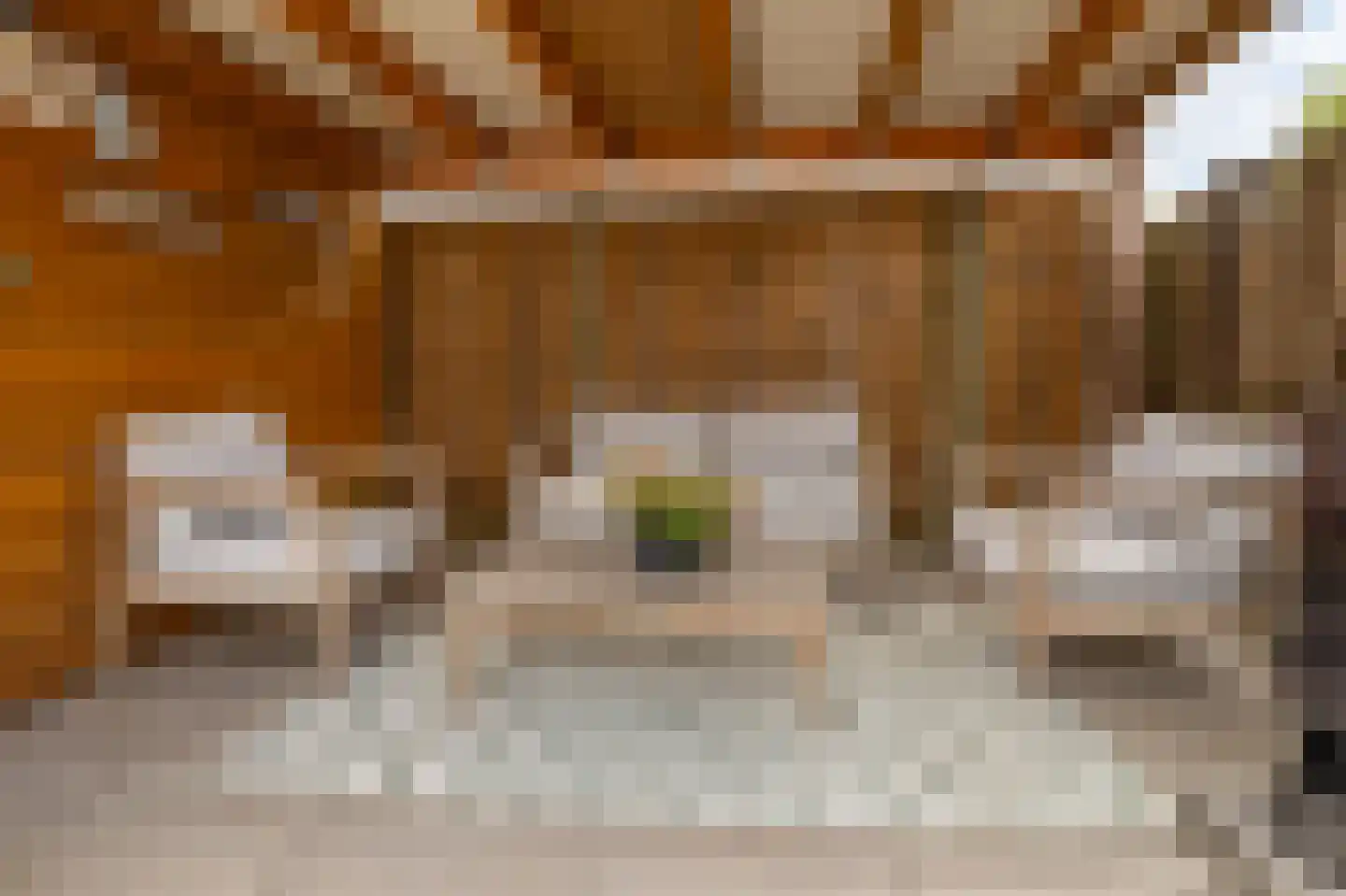 Abelenlaan 19 Emmeloord thumbnail 22