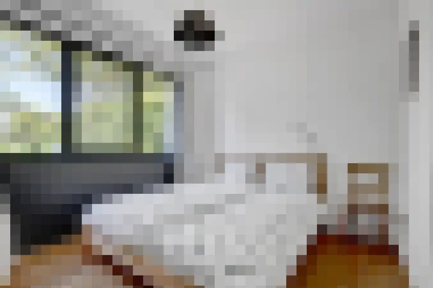 Abelenlaan 2 Kamperland thumbnail 23