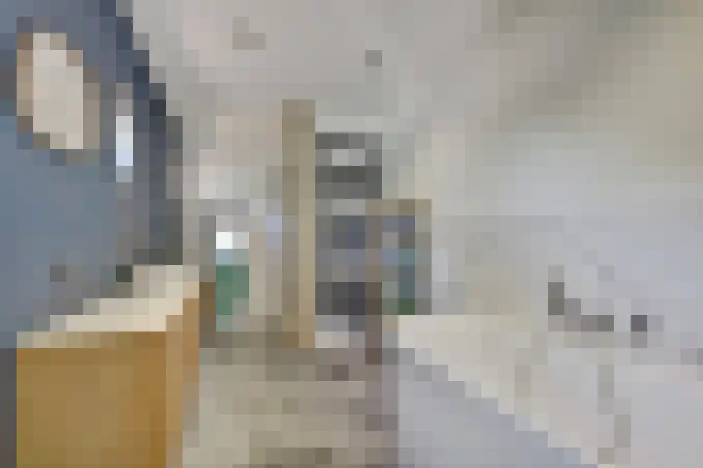 Abelenlaan 2 Kamperland thumbnail 27