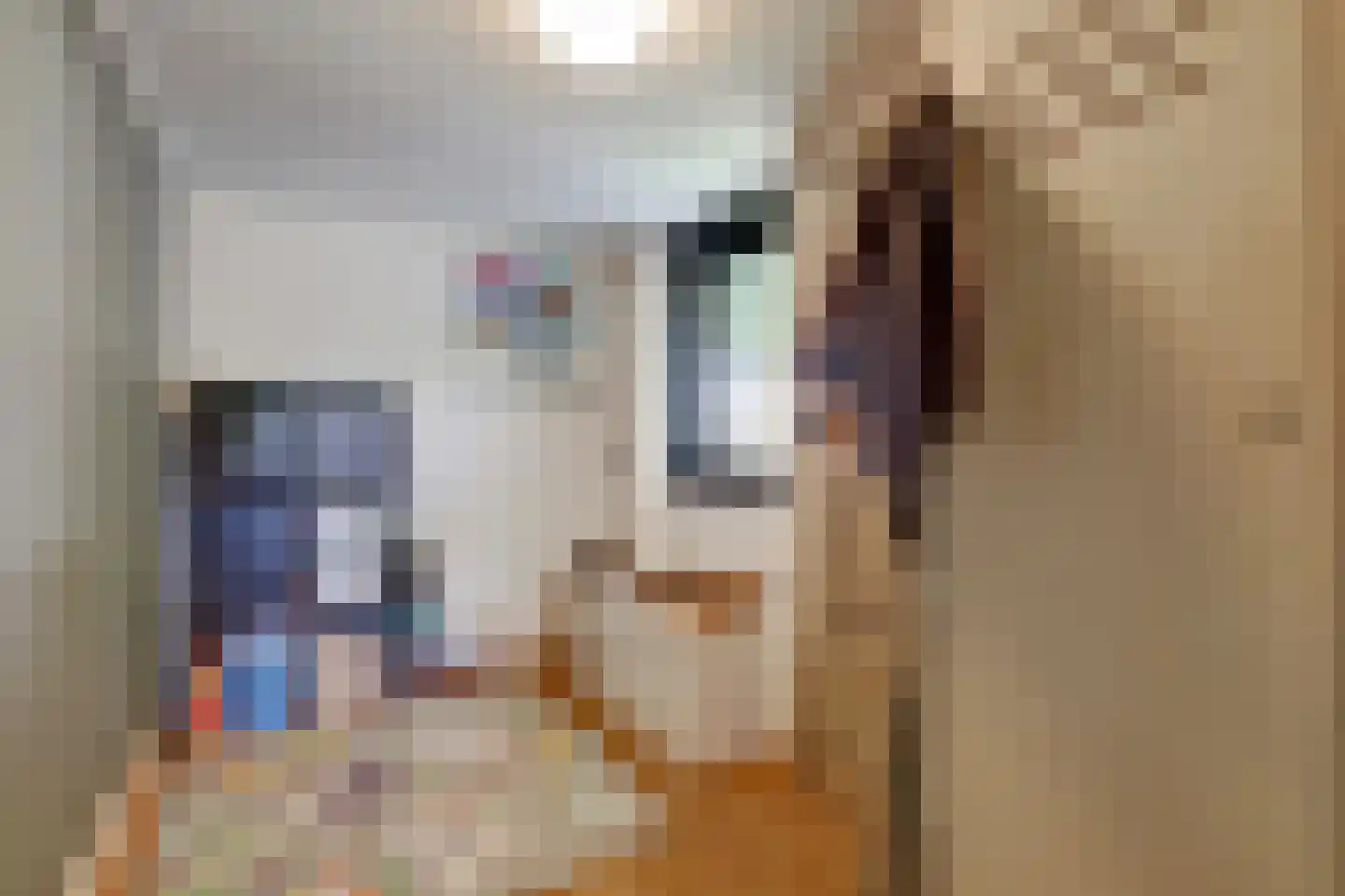 Abelenlaan 2 Kamperland thumbnail 29