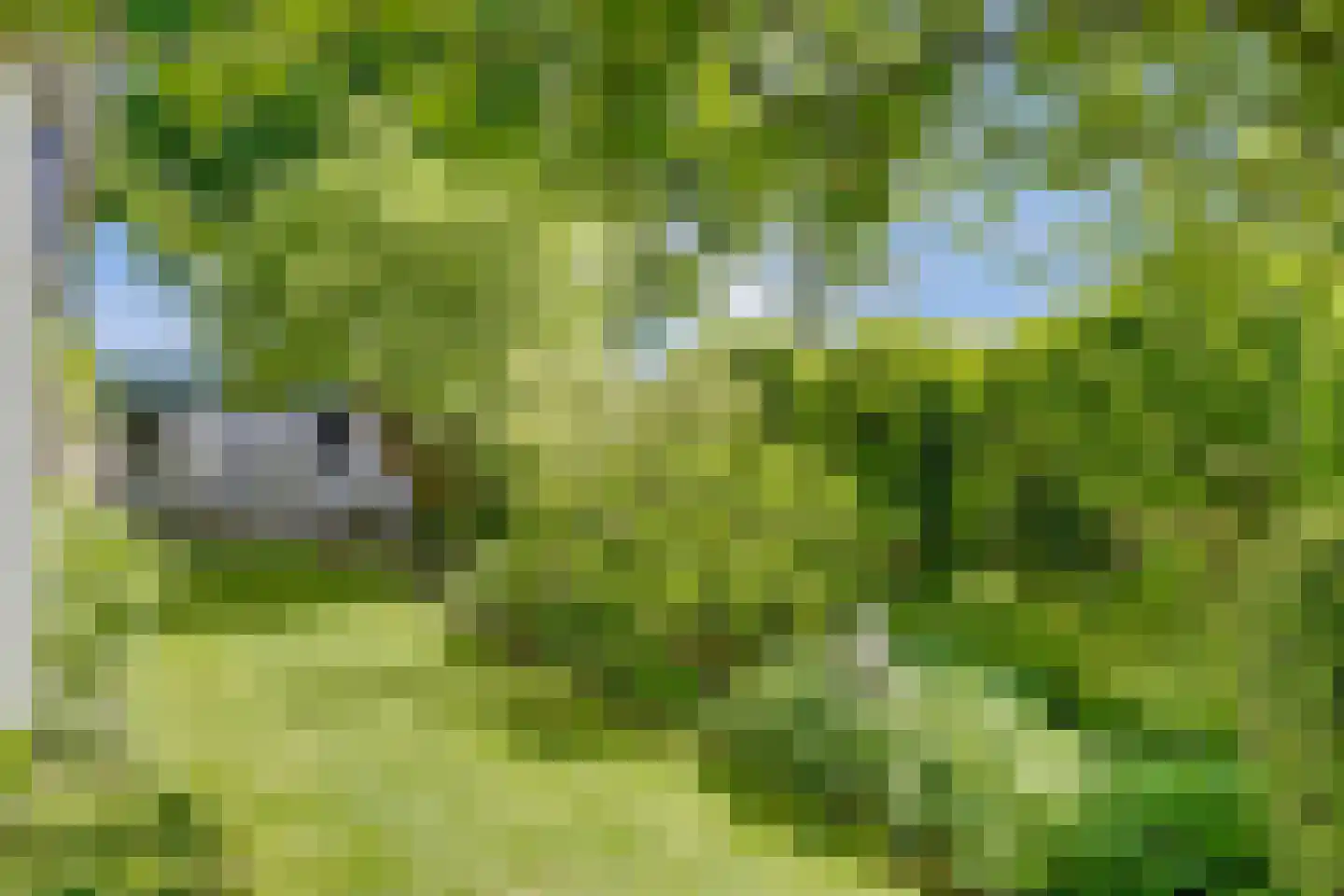 Abelenlaan 2 Kamperland thumbnail 37