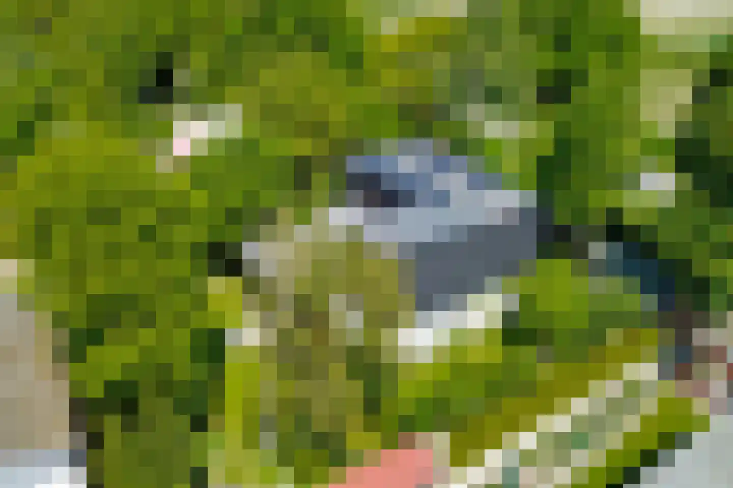 Abelenlaan 2 Kamperland thumbnail 53