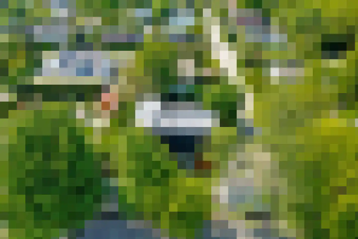 Abelenlaan 2 Kamperland thumbnail 54