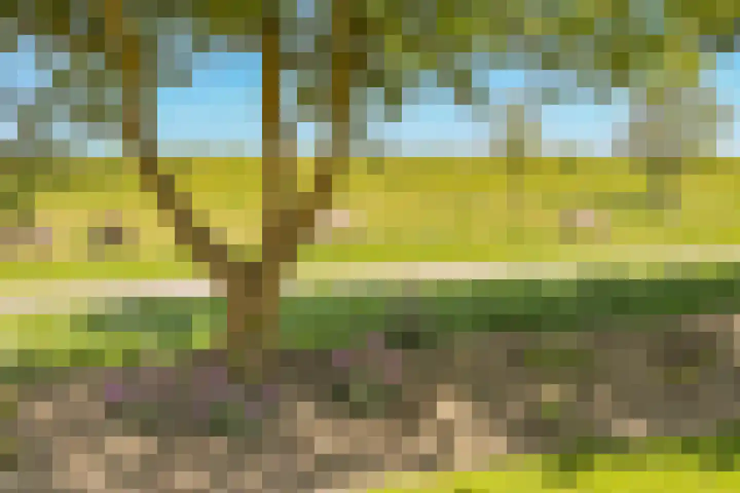 Abelenlaan 2 Kamperland thumbnail 57