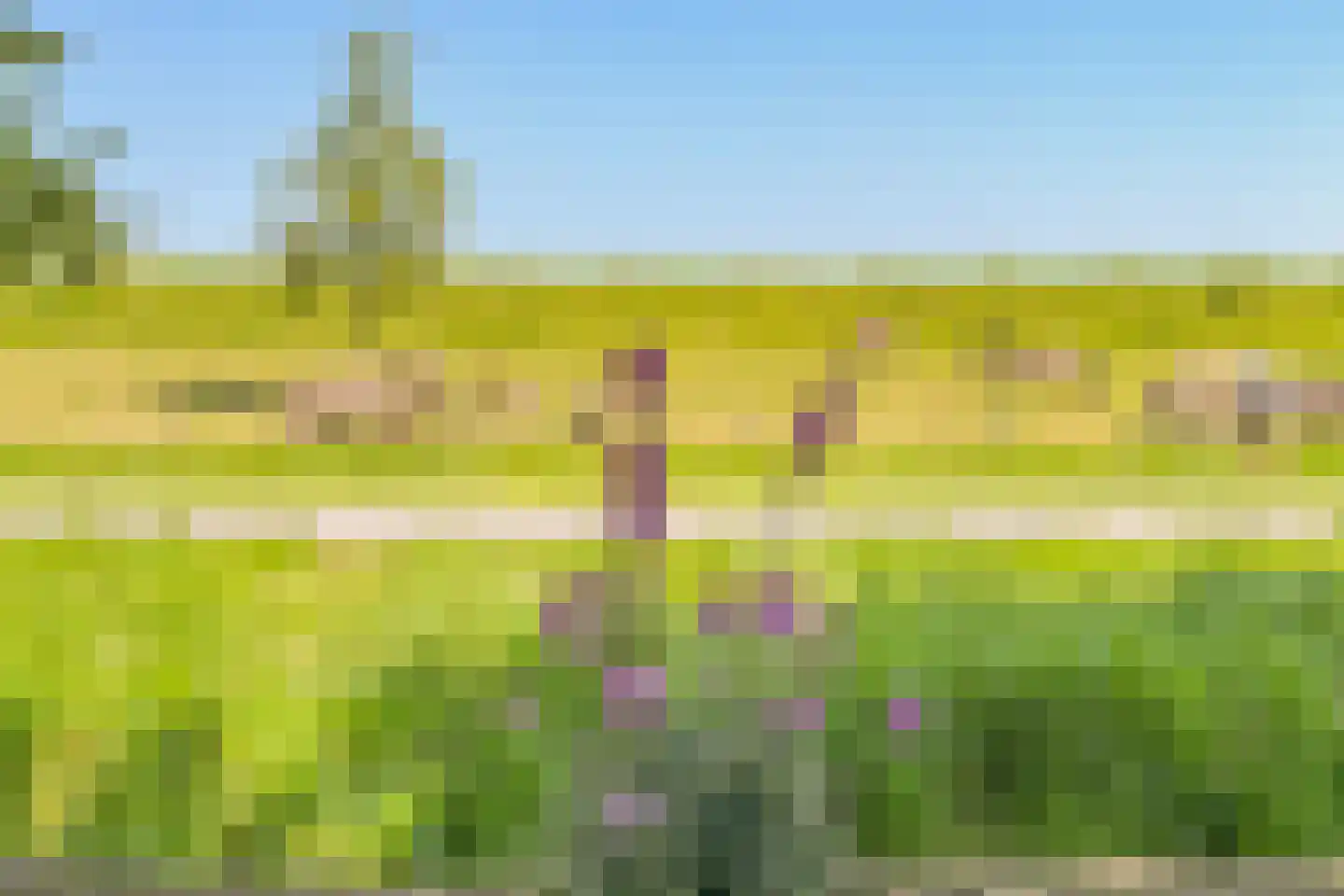 Abelenlaan 2 Kamperland thumbnail 58