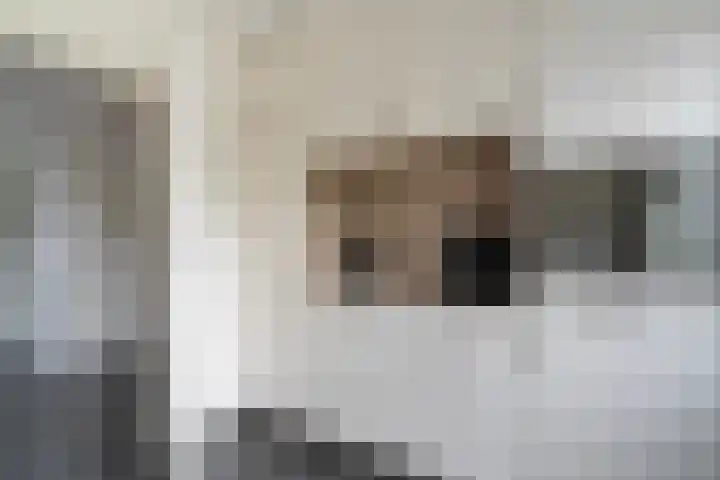 Abelenlaan 59 Zwolle thumbnail 10