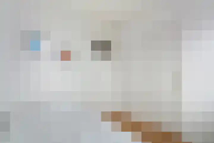 Abelenlaan 59 Zwolle thumbnail 17