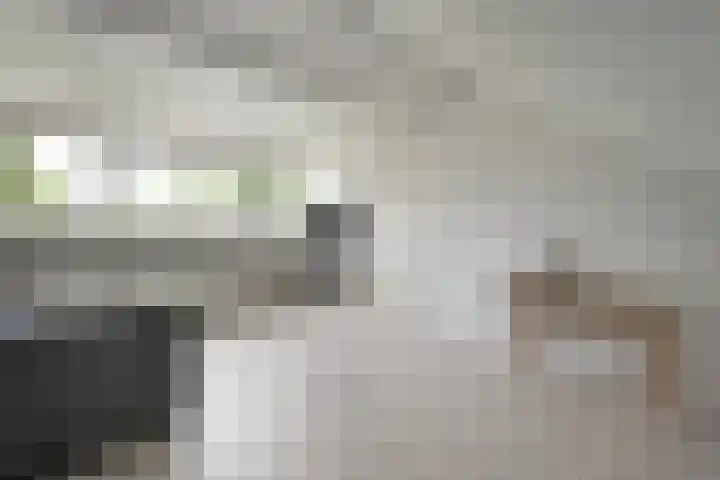 Abelenlaan 59 Zwolle thumbnail 25