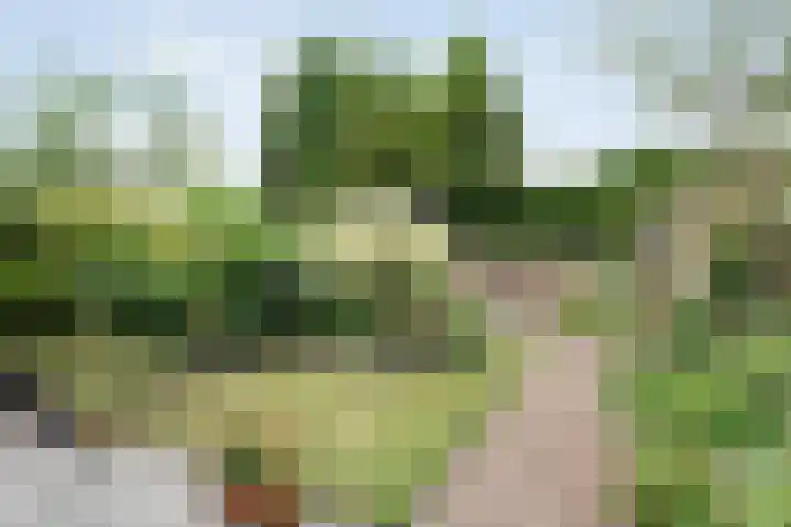 Abelenlaan 59 Zwolle thumbnail 26