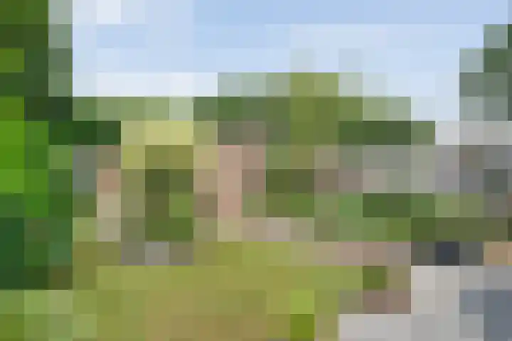 Abelenlaan 59 Zwolle thumbnail 27