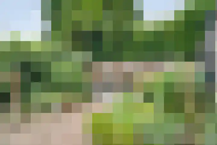 Abelenlaan 59 Zwolle thumbnail 29
