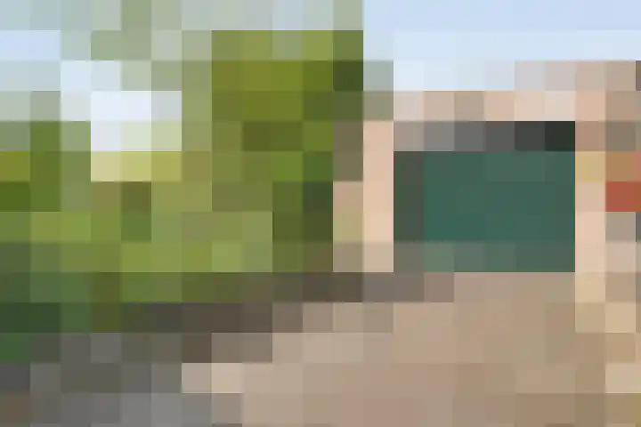 Abelenlaan 59 Zwolle thumbnail 31