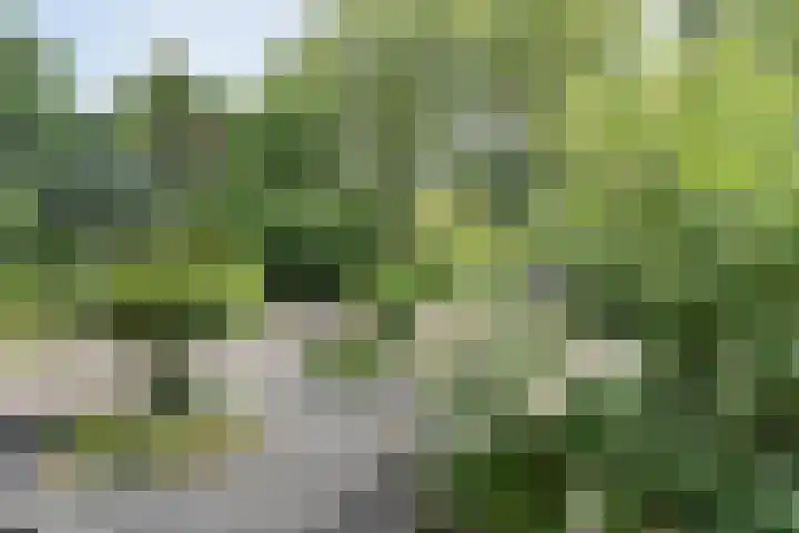 Abelenlaan 59 Zwolle thumbnail 34