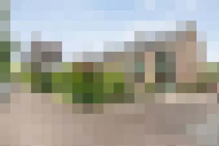 Abelenlaan 59 Zwolle thumbnail 35