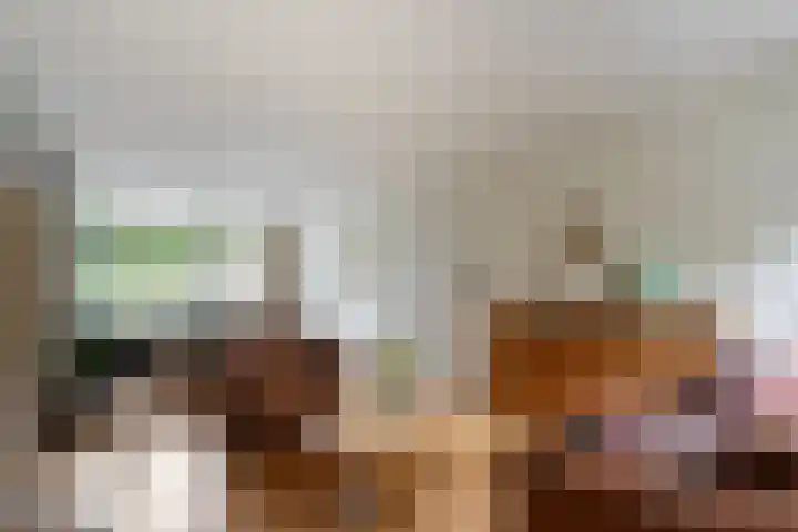 Abelenlaan 59 Zwolle thumbnail 7