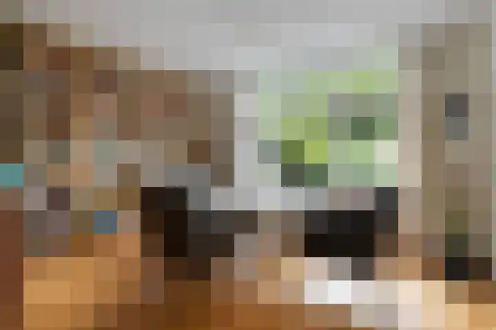 Abelenlaan 59 Zwolle thumbnail 8