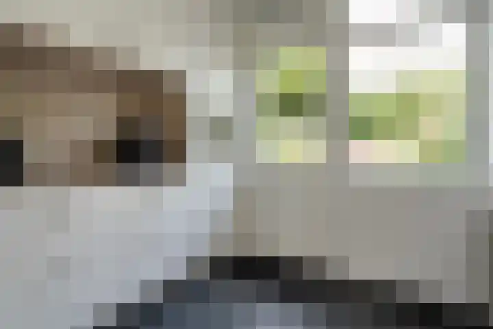 Abelenlaan 59 Zwolle thumbnail 9