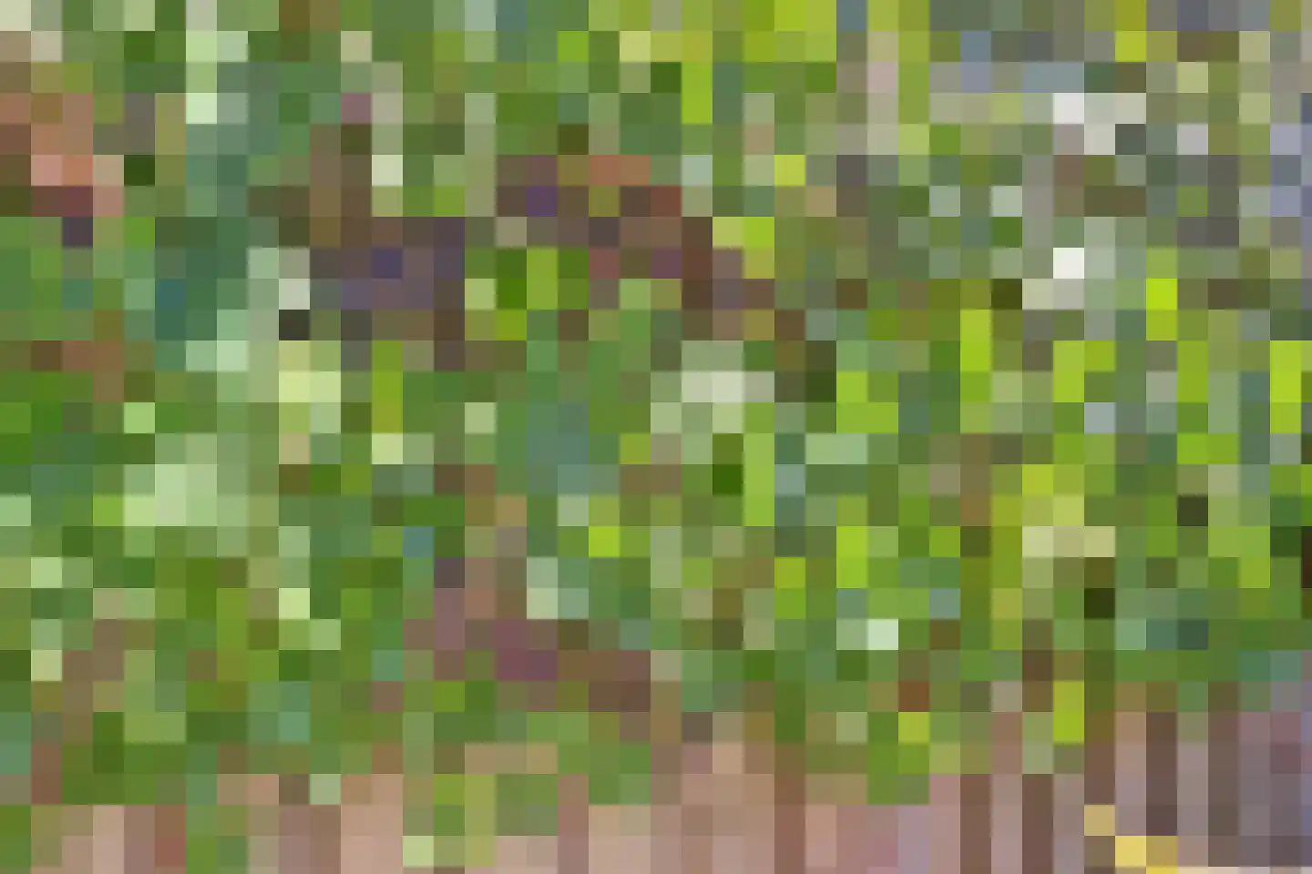 Abelenlaan 78 Rozenburg thumbnail 29