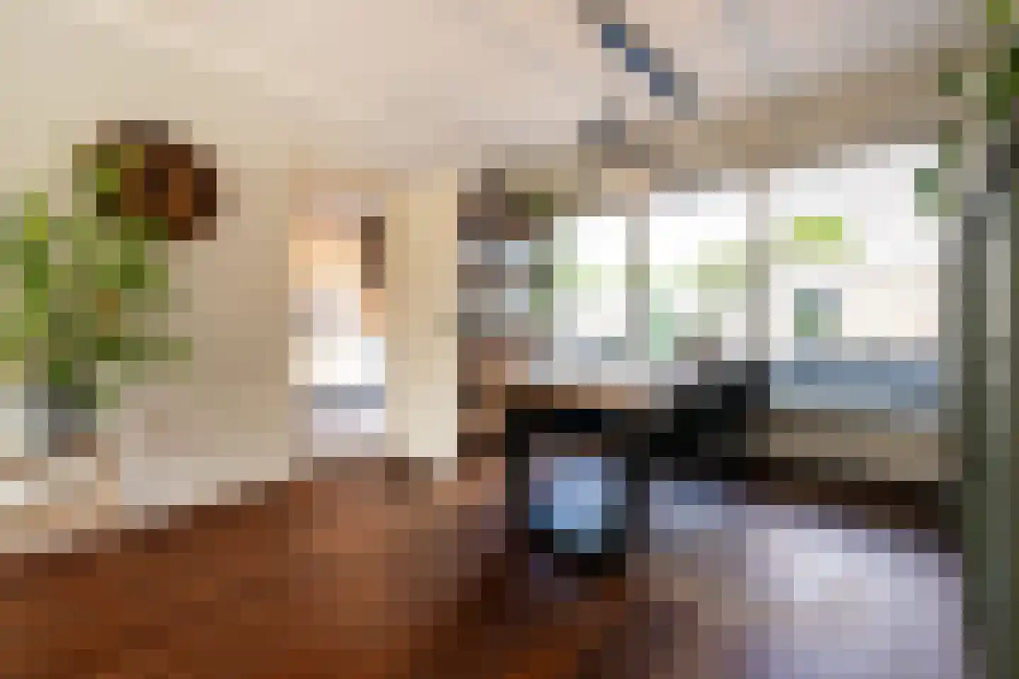 Abelenstraat 10 Oss thumbnail 10