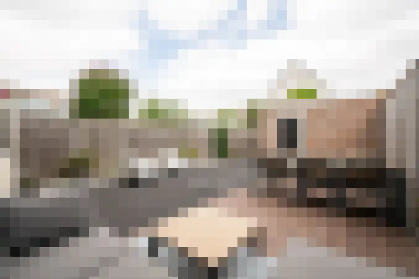 Abelenstraat 10 Oss thumbnail 22