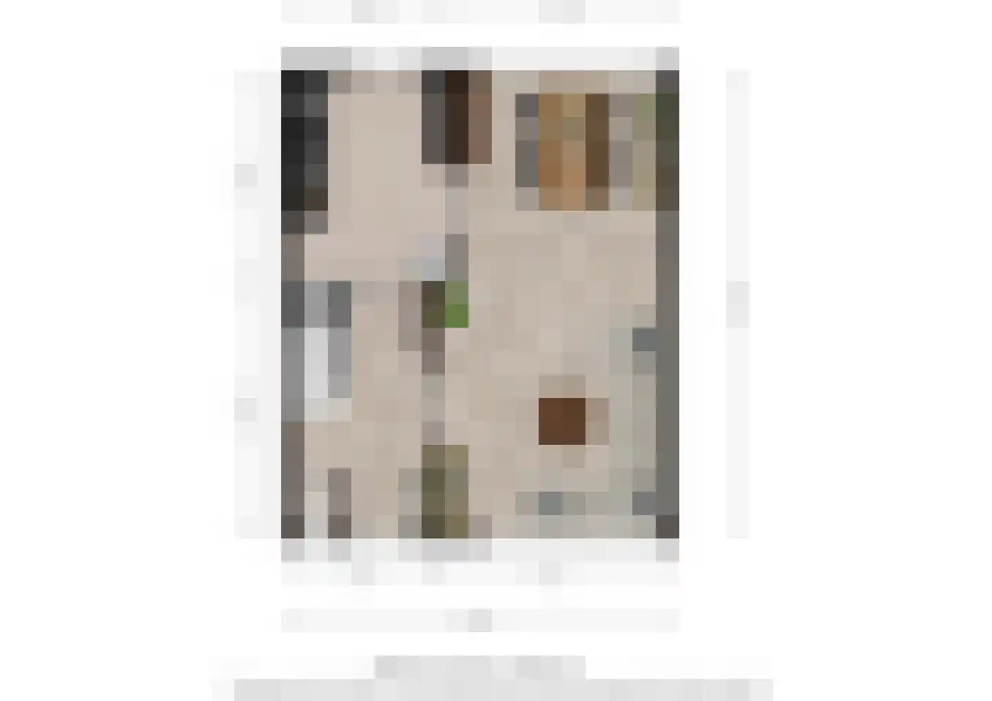 Abelenstraat 10 Oss thumbnail 25