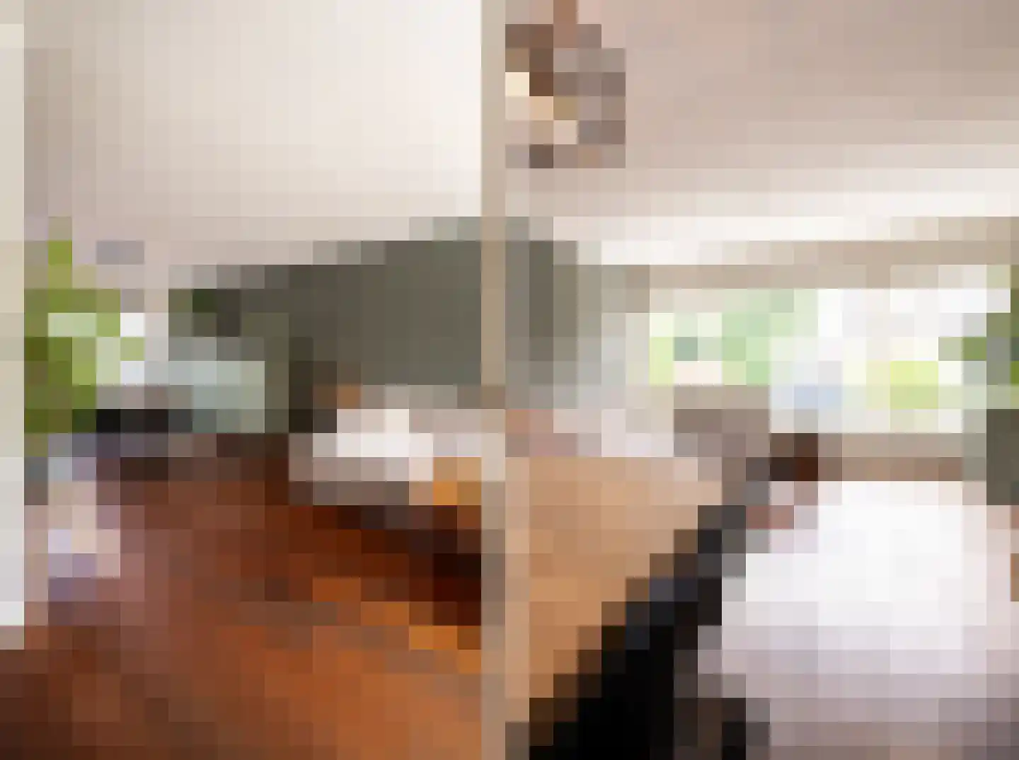 Abelenstraat 10 Oss thumbnail 8