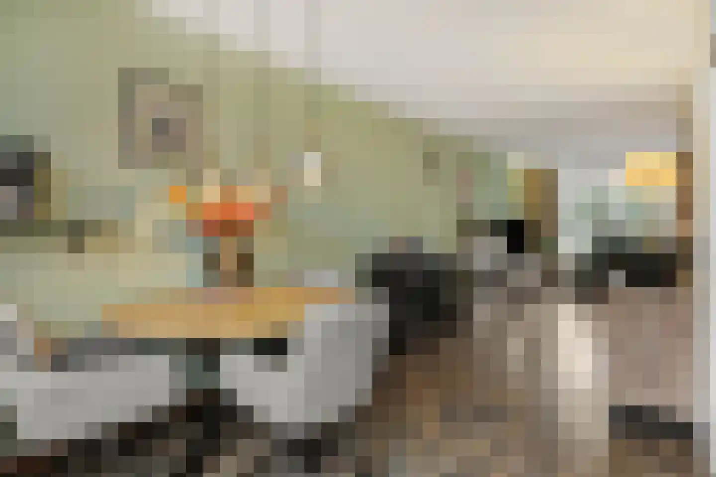 Abelenstraat 7 Geffen thumbnail 12