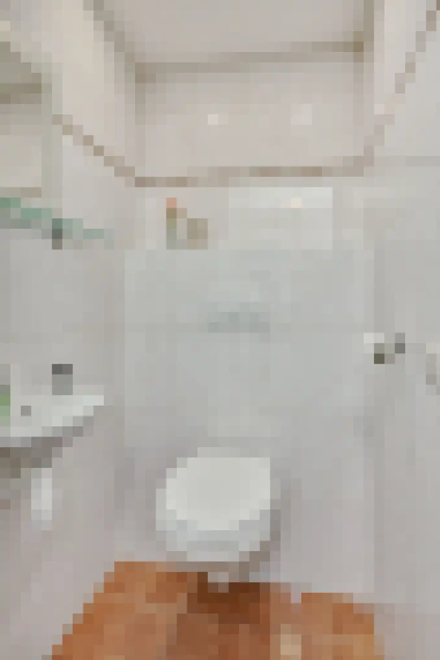 Abelenstraat 7 Geffen thumbnail 15