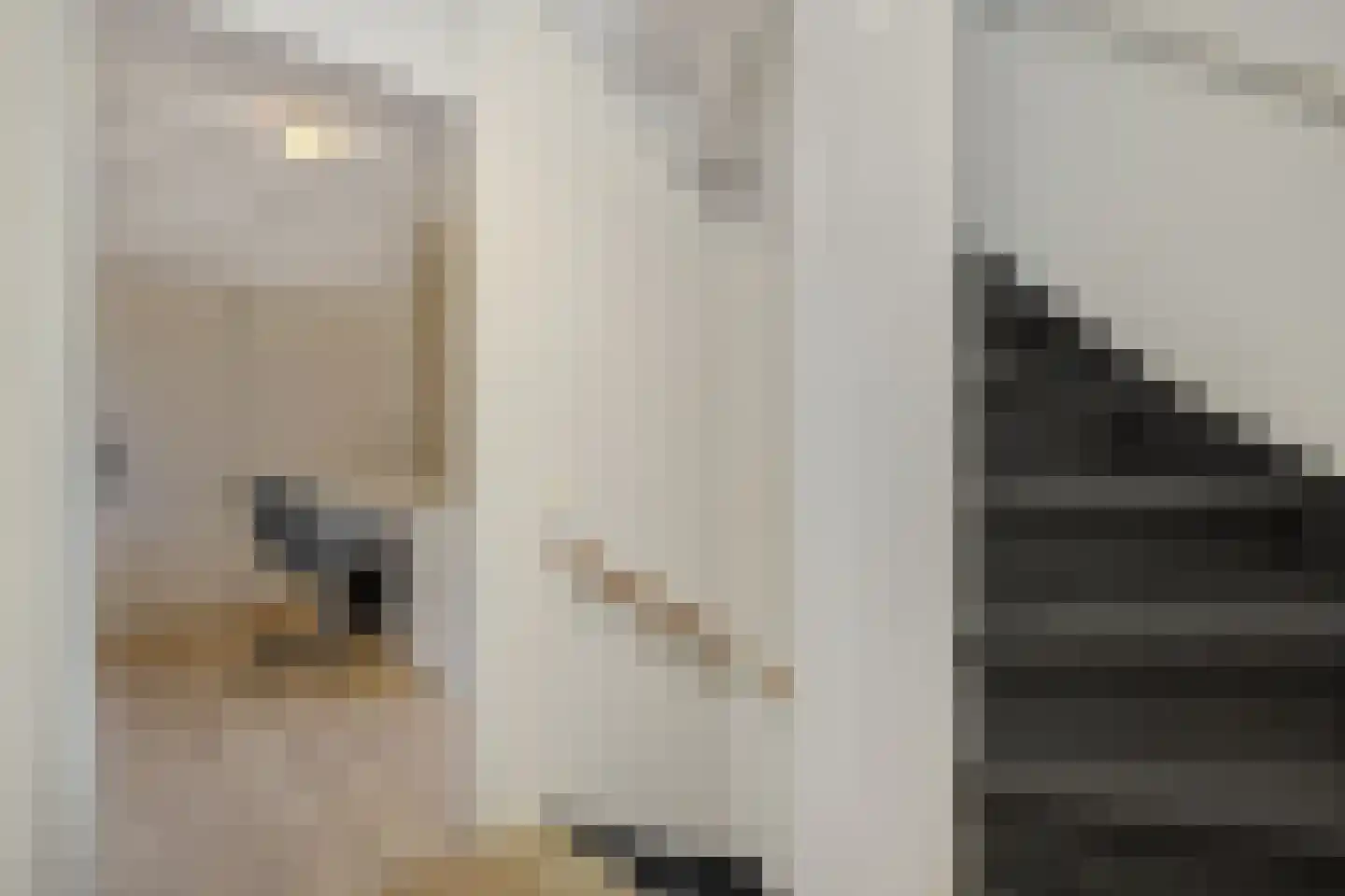 Abelenstraat 7 Geffen thumbnail 17