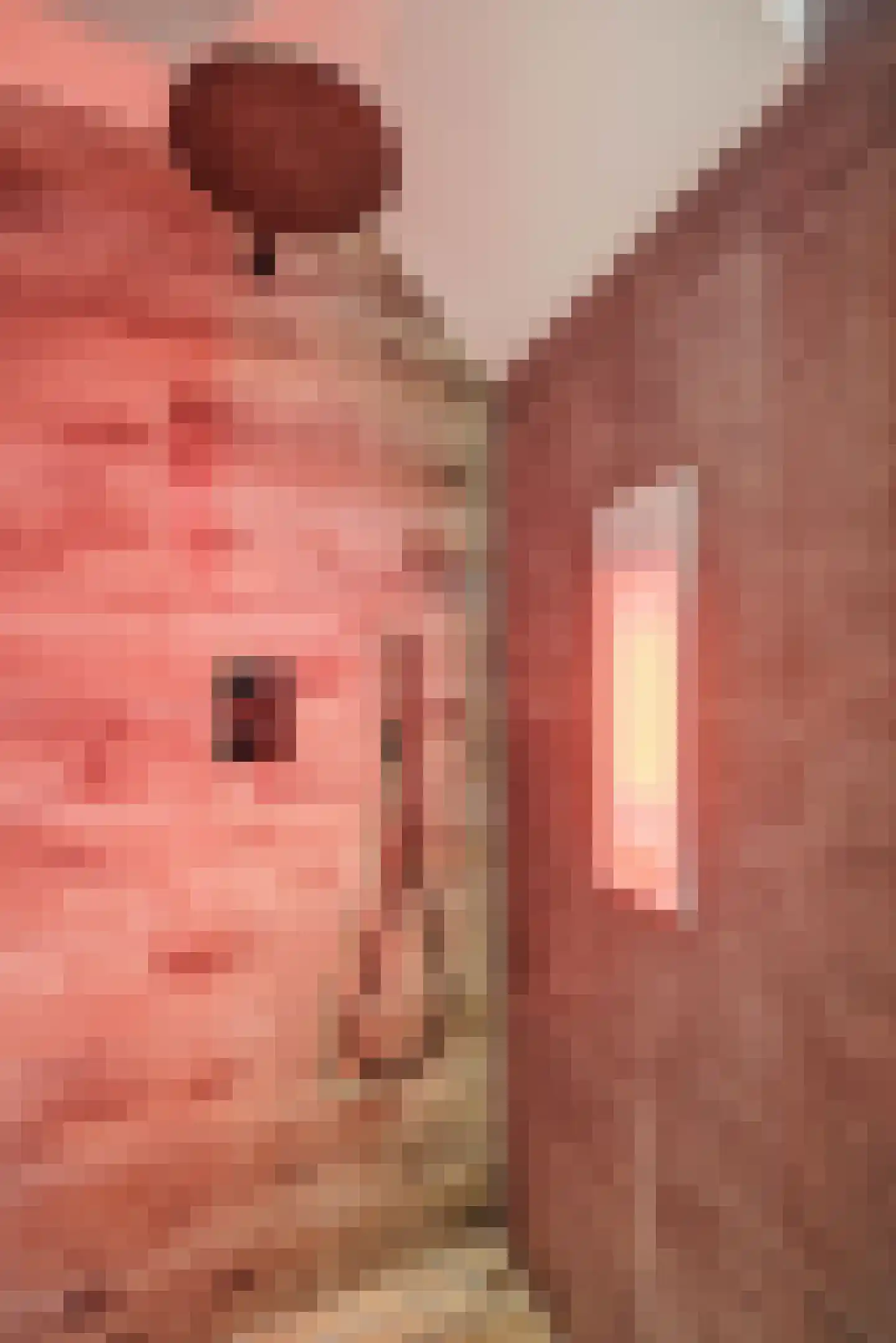 Abelenstraat 7 Geffen thumbnail 25
